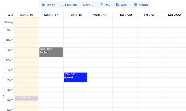 example of online booking calendar